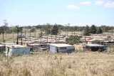 Displaced families demand homes on Berlin November site
