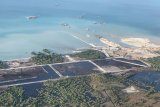 Mozambique paves way for restart of TotalEnergies LNG project: report