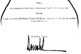 White House 'would support forensic analysis' of alleged Trump signature on Epstein letter