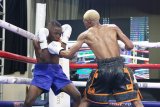 Sigqibo crowns show debut with victory in ring return