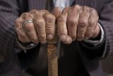 Police seek help in arresting rapist of 99-year-old woman