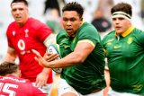 Zachary Porthen could add to list of Wynberg Boys’ Springboks
