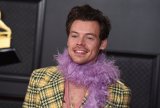 Harry Styles Just Announced A Sex Toy Line, And At This Point, Sure