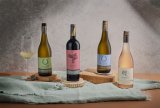 VINE TIME | Avontuur’s renewal project built on its legacy story