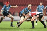 Lions send SOS to Currie Cup champs