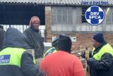 SPCA intervenes after inhumane transport of SHEEP