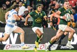 What time is kick off for Springboks-Pumas, All Blacks-Wallabies?