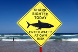 Surfer dies after shark bite at Sydney beach