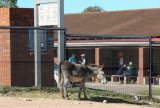 Rosedale clinic shut down due to protest