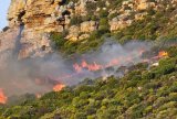 DEVELOPING | Wildfire breaks out on Boyes Drive