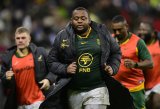 Poll: Who anchors Bok scrum in 2025?