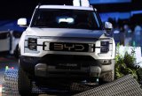 Profits plummet at world’s biggest EV maker