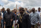 Amakhosi prepared to fight over Zulu king vs Ingonyama Trust board row, says Buthelezi