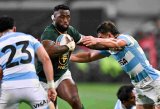 Wounded Pumas will come out fighting, says Kolisi