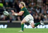 Faf de Klerk to join Springboks in Auckland