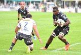 Sharks starting to show teeth — Plumtree