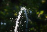 The 1 Watering Mistake UK Gardeners Must Avoid In A Heatwave