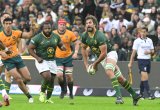 Boks seduced by Super Rugby sizzle