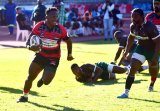 Elephants thrash Bulldogs in quest for home semi