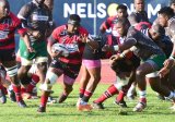 Elephants must play smart rugby, says Coetzee