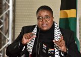 Deputy minister Letsike calls on cops after Limpopo artist ‘caught drinking with teens’