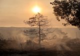 Two dead, homes burn in huge wildfire in Cyprus