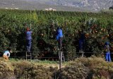 OPINION | Land reform must navigate the narrow path between social justice and economic pragmatism