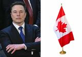 Petition to revoke Elon Musk’s US citizenship gains momentum