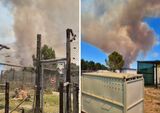 Big cat sanctuary burns – appeals for help amid raging wildfires