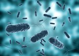 WHO warns of spread of cholera from Sudan to Chad refugee camps