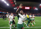 Springboks gaze down on rugby world
