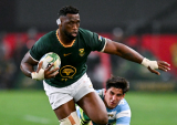 Wounded Pumas will come out fighting, says Kolisi