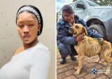 Influencer facing animal charges after mocking SPCA’s dog rescue