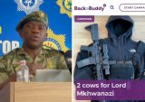 Will Mkhwanazi accept gift of cows from the public?