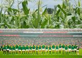 Rugby to farming: Springbok reveals new side hustle