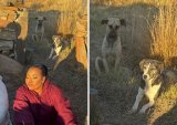 SPCA responds to ‘concern’ over dogs in Anele Mdoda post