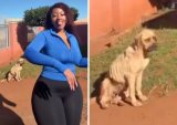 SPCA investigating starving dog in influencer’s viral video