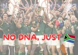 Where does catchphrase ‘No DNA, just RSA’ come from?