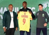 New Kaizer Chiefs striker: 25 goals in South Africa