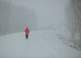12 weather warnings issued for SA: Snow, rain, winds and waves expected