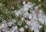 WEATHER: Severe storms to bring heavy rain, strong winds and hail