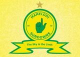 Sundowns respond: Fan attacks and Mosimane calls