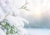 Snowfall closes the N2, prompting warnings for KZN motorists