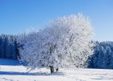 Winter solstice | Date and impact on South Africans explained