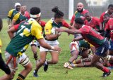 Gardens, Quins stay on winning track