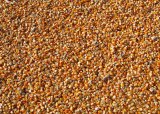 Zimbabwe lifts ban on importing maize