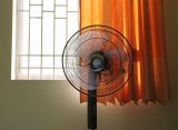Expert Warns Of 'Widespread Death' As UK Enters Fourth Heatwave