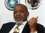 Gwede Mantashe appointed as acting police minister