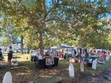 NMB GIG GUIDE | Fairhaven residents to show off their creativity