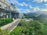 IN THE GARDEN | A garden by the sea